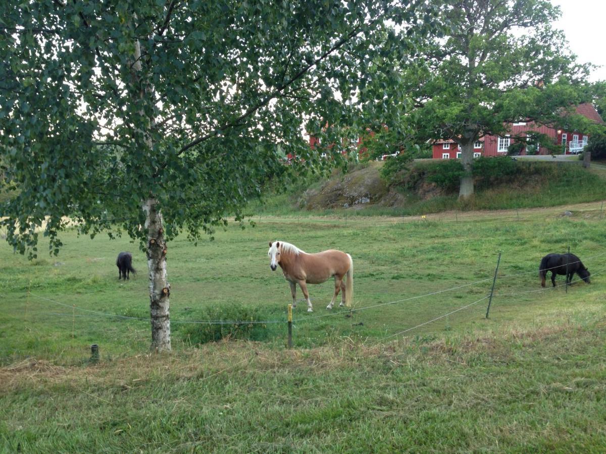 Yxningens Holiday Homes, Cottages And Camping Gusum Dış mekan fotoğraf